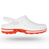 CLOG01