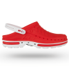CLOG17