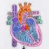 Anatomical Heart