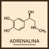 Adrenalina